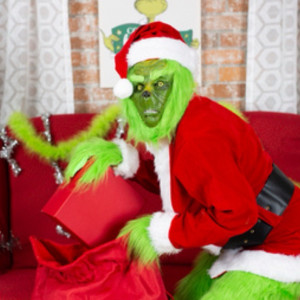 Holiday Christmas Grinch - Costumed Character in Grand Blanc, Michigan