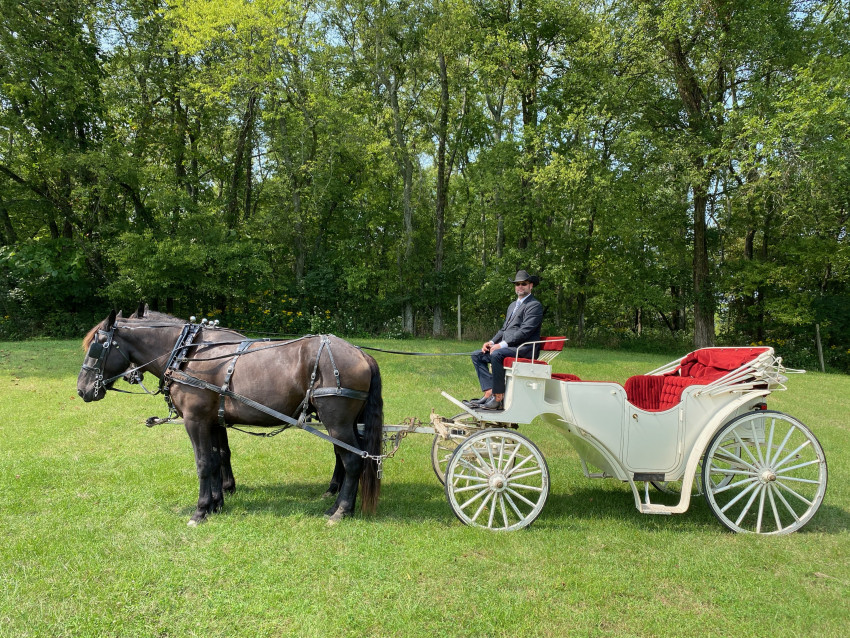 Gallery photo 1 of Prestige Carriage and Funeral Service