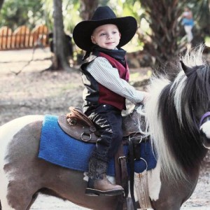 Horse Power for kids