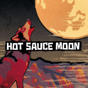 Hot Sauce Moon - Americana Band / DJ in Jupiter, Florida