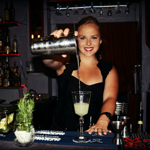 Houston Bartenders - Bartender in Houston, Texas