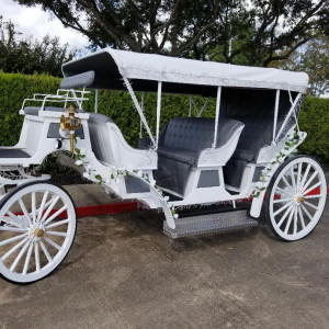 Houston Carriage