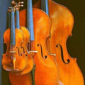 Camelia Strings - Classical Ensemble / Wedding Musicians in Birmingham, Alabama