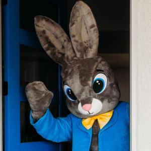 Hugs Bunny - Easter Bunny / Children’s Party Entertainment in Sahuarita, Arizona