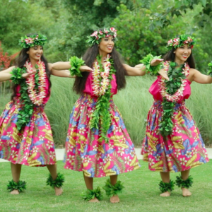 Hula and Tahitian Luau Entertainment