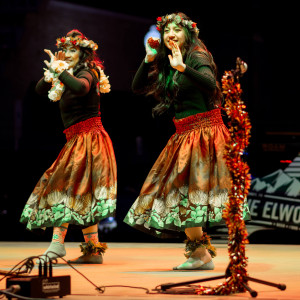 Hula and Ukulele (Hulalele) - Hula Dancer in Plano, Texas