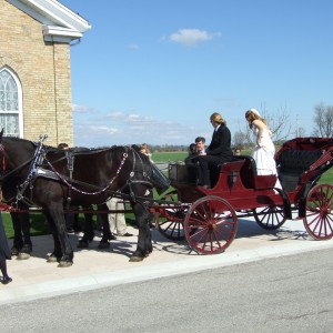 Humes Horse and Carriage Rides
