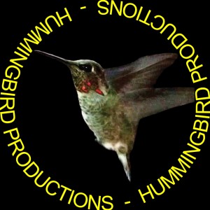 Hummingbird Productions - Videographer in Ojai, California