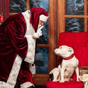 IA Santa Paws - Santa Claus / Holiday Party Entertainment in New Virginia, Iowa