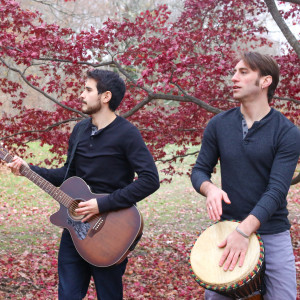 Ian & Dan - Acoustic Band / Folk Band in Brooklyn, New York