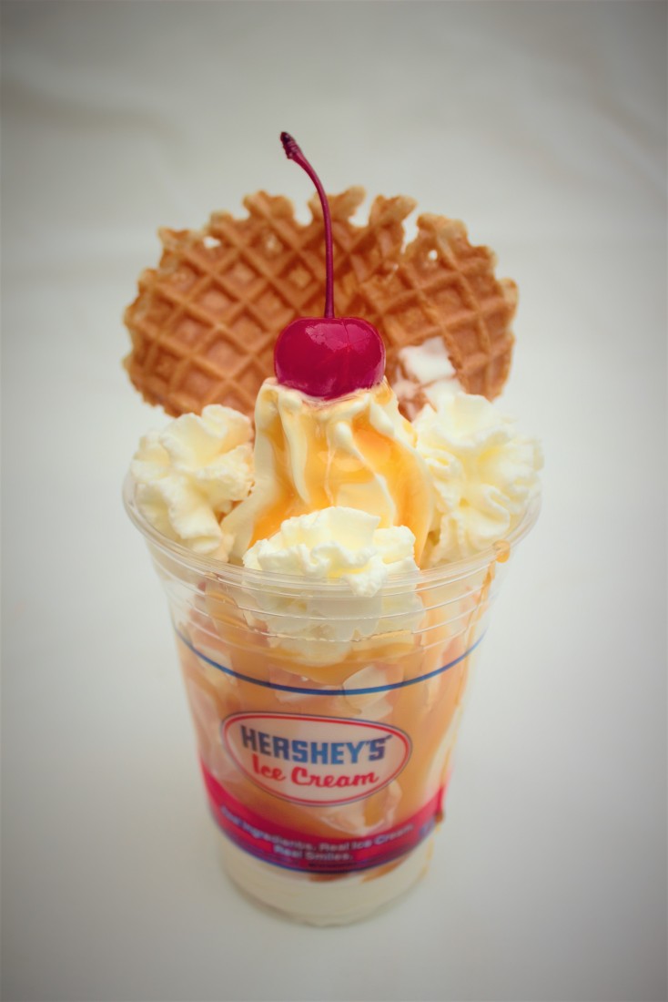 Hire Ice Cream Truck Caterer in Salisbury, North Carolina