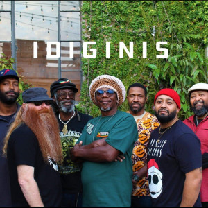 Idiginis - Reggae Band in Houston, Texas