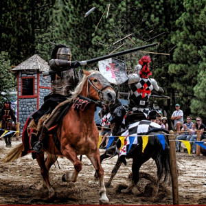 Imperial Knights Production Company - Animal Entertainment / Medieval Entertainment in Norco, California