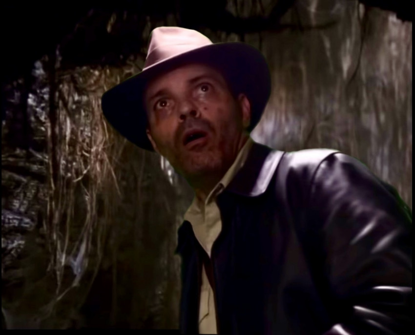 Hire Indiana Jones Impersonator - Impersonator in Chicago, Illinois