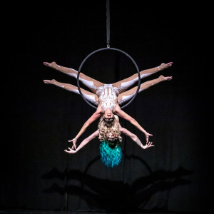 Indy Aerialists - Aerialist in Fishers, Indiana