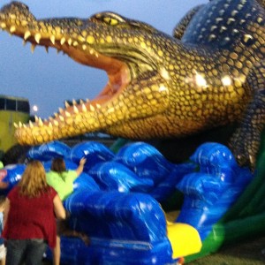 Inflatable Rental - Party Inflatables / Family Entertainment in St Charles, Missouri