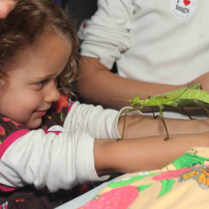 Insect Discovery Lab - Animal Entertainment / Petting Zoo in San Francisco, California