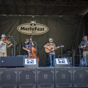 Into the Fog - Bluegrass Band in Raleigh, North Carolina