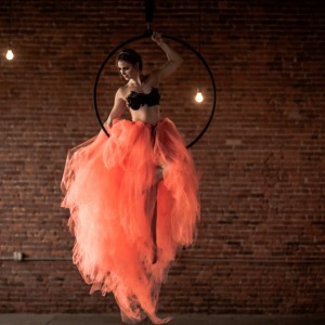 Inverted Aerial - Aerialist in New York City, New York