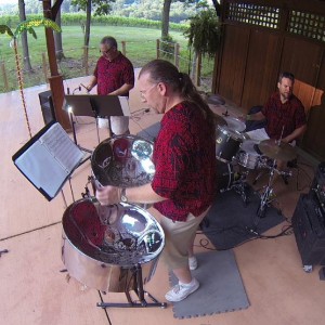 Island Music Trio - Steel Drum Band in Roanoke, Virginia