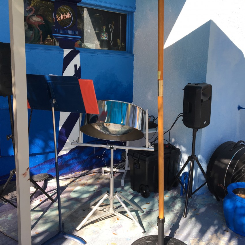 Hire Island Soul Productions Steel Drum Player in St Petersburg, Florida