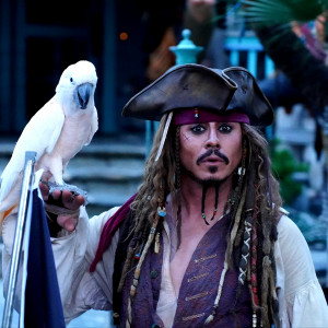 Captain Jack Live - Johnny Depp Impersonator / Pirate Entertainment in Anaheim, California
