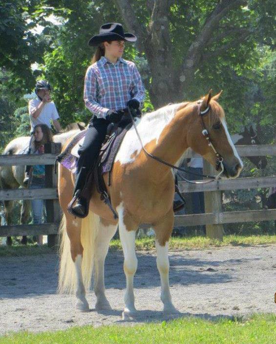 Gallery photo 1 of Jacobsburg Horseback Trail Rides - Pony Parties