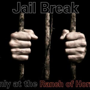 Jail Break Escape Room and more