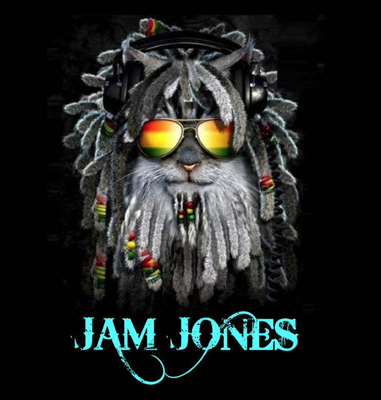 Hire Jam Jones Rock Band in Odessa, Florida