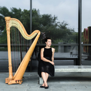 Jamie Wilkinson, Harpist - Harpist in San Antonio, Texas