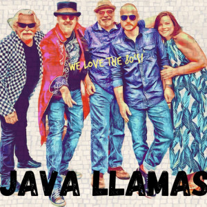 Java Llamas - 1980s Era Entertainment in Waxahachie, Texas
