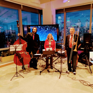 Lynne Hamer Jazz Trio - Jazz Band / Ragtime Band in West Chester, Pennsylvania