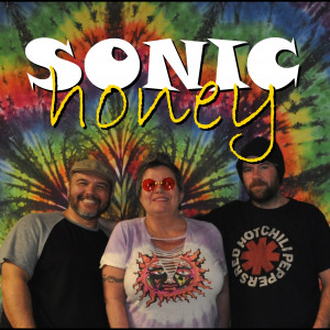 Sonic Honey - Classic Rock Band in Lapeer, Michigan
