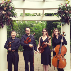 Jill Crist, cellist - String Quartet in Columbus, Ohio