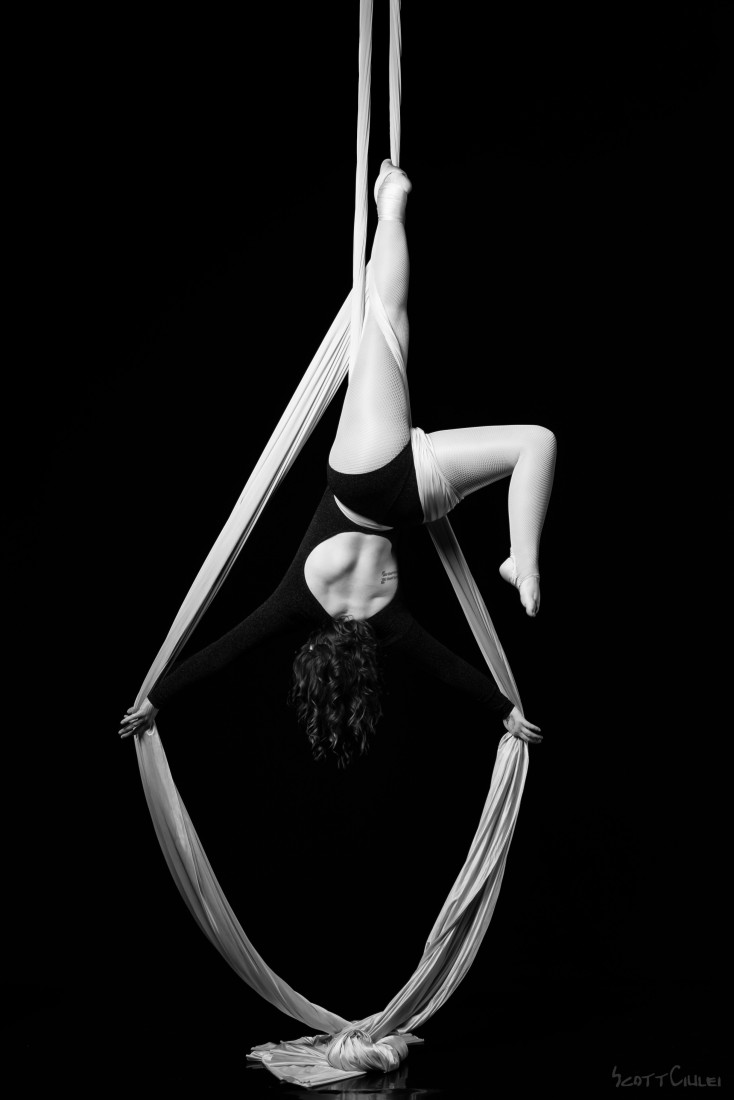 Gallery photo 2 of Silky Silhouettes