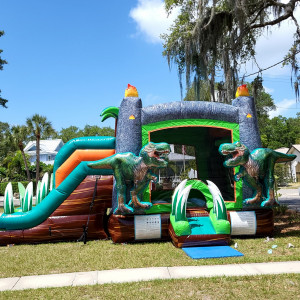 J&J Bounce House Rentals - Party Inflatables / Family Entertainment in Largo, Florida