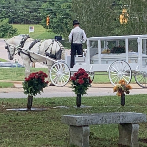 J&L Carriage - Horse Drawn Carriage in Princeton, North Carolina