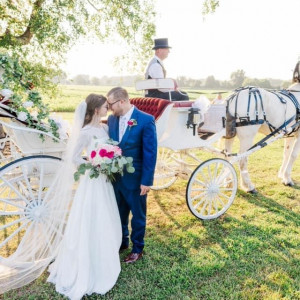 J&L Carriage - Horse Drawn Carriage / Wedding Services in Princeton, North Carolina