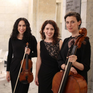 Gold Standard Musicians - Classical Ensemble / String Trio in St Louis, Missouri