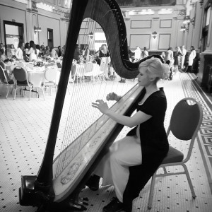 Julie ni Hewkin, Harpist and Vocalist