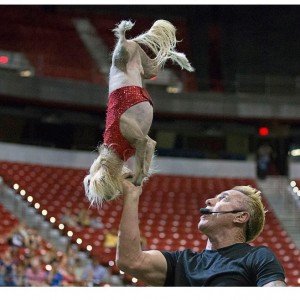 Jump! The Ultimate Dog Show - Animal Entertainment in Las Vegas, Nevada