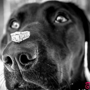 Just Shoot Me Photography - Photographer in Cottage Grove, Minnesota