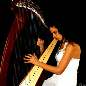 Kamila Harpist - Harpist in Montreal, Quebec