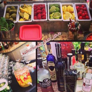 Karoline's Bartending Services - Bartender / Wedding Services in San Jose, California