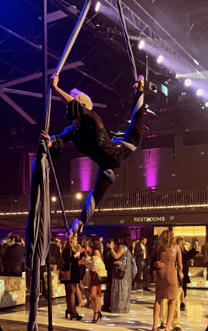 Gallery photo 1 of Kate Wallace Aerialist