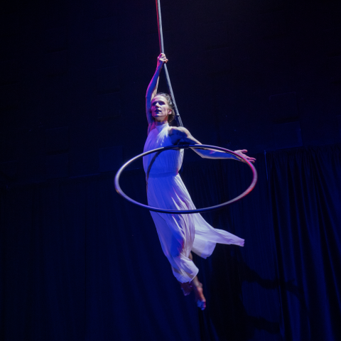 Hire Kelsey Keitges - Aerialist in Santa Cruz, California