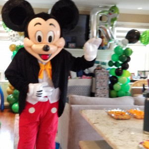 Kid's Party Mascots - Children’s Party Entertainment / Variety Entertainer in Peekskill, New York