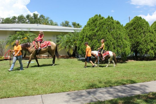 Gallery photo 2 of K&M Pony Parties