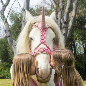 Lady Serenity the Gypsy Unicorn - Pony Party in Creston, California