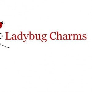 Ladybug Charms